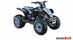 E-ton Viper 4-Stroke 150R 2007