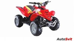 E-ton Viper 4-Stroke 70 2007