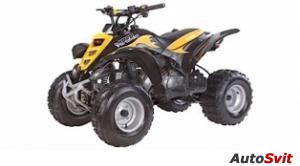 E-ton Viper 4-Stroke 90R 2007