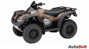 Honda FourTrax Rincon Base 2007