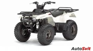 Kawasaki Bayou 250 2007