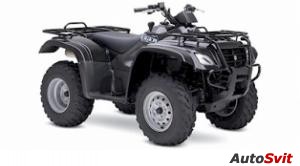 Suzuki Eiger 400 4X4 Automatic 2007