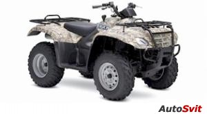 Suzuki Eiger 400 4X4 Automatic Camouflage 2007