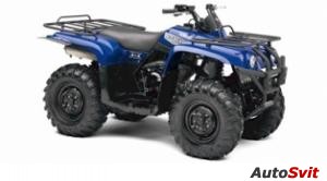Yamaha Big Bear 400 IRS 5-Speed 4X4 2007