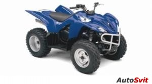 Yamaha Wolverine 450 4x4 2007