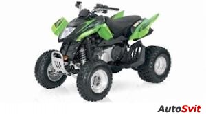 Arctic Cat 250 DVX 2008