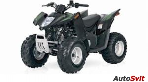 Arctic Cat 90 DVX 2x4 2008
