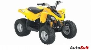 Can-Am DS 250 2008