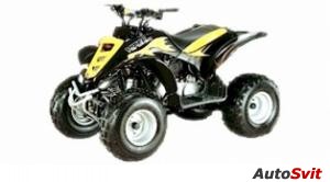 E-ton Viper 2-Stroke 70 2008