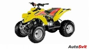 E-ton Viper 2-Stroke 90R 2008