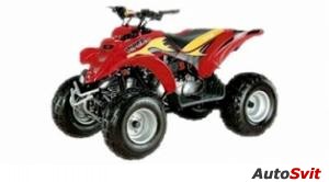 E-ton Viper 4-Stroke 70 2008