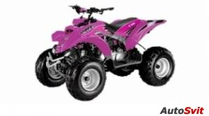 E-ton Viper 4-Stroke 90R 4-S 2008