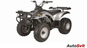 E-ton Yukon II CXL-150 2008