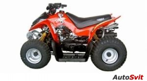 Tomberlin Mini Cobra 50 2008