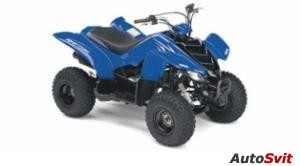 Yamaha Raptor 50 2008