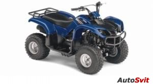 Yamaha Raptor 80 2008