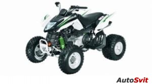 Arctic Cat 300 DVX 2009