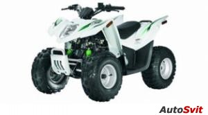 Arctic Cat 90 DVX SE 2009