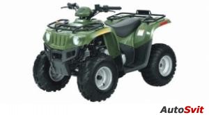 Arctic Cat 90 SE 2009