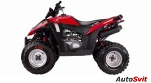 E-ton Vector 250R 2009
