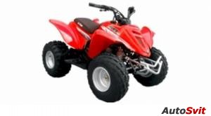 E-ton Viper 90R Silver Series 2009