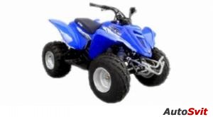 E-ton Viper 90 Silver Series 2009