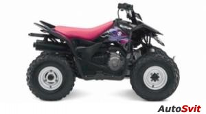 Suzuki QuadSport Z90 Special Edition 2009