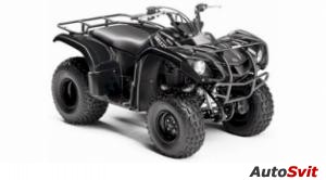 Yamaha Grizzly 125 Automatic 2009