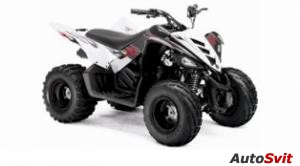 Yamaha Raptor 90 2009