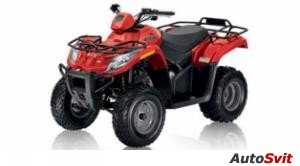 Arctic Cat 300 2x4 2010