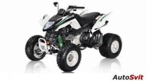 Arctic Cat 300 DVX 2010