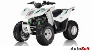 Arctic Cat 90 DVX 2010