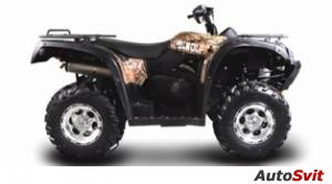 Bennche Gray Wolf 700 2010