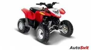 Polaris Phoenix 200 2010