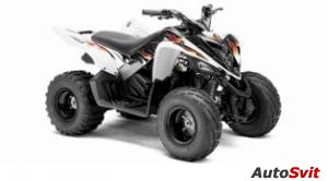 Yamaha Raptor 90 2010