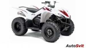 Yamaha Wolverine 450 Auto 4x4 2010