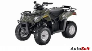 Arctic Cat 300 2x4 2011