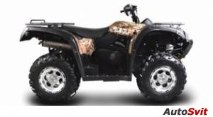 Bennche Gray Wolf 500 2011