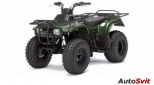 Kawasaki Bayou 250 2011