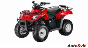 Arctic Cat 300 2x4 2012