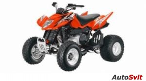 Arctic Cat 300 DVX 2012