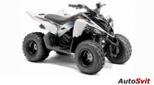 Yamaha Raptor 90 2012