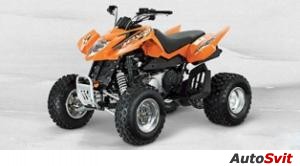 Arctic Cat 300 DVX 2013