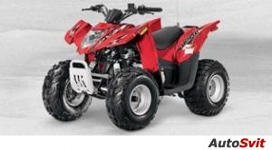 Arctic Cat 90 DVX 2013