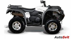 Bennche Gray Wolf 700 2013