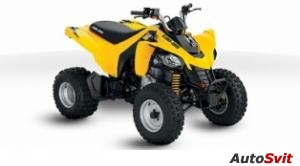 Can-Am DS 250 2013