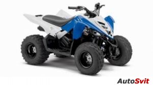 Yamaha Raptor 90 2013
