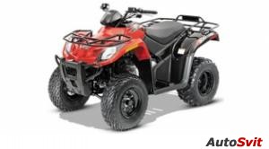 Arctic Cat 300 2x4 2014