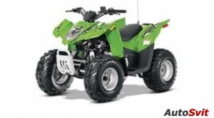 Arctic Cat 90 DVX 2014