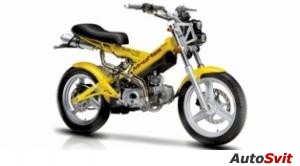 Peirspeed  Sachs MadAss 125 2010
